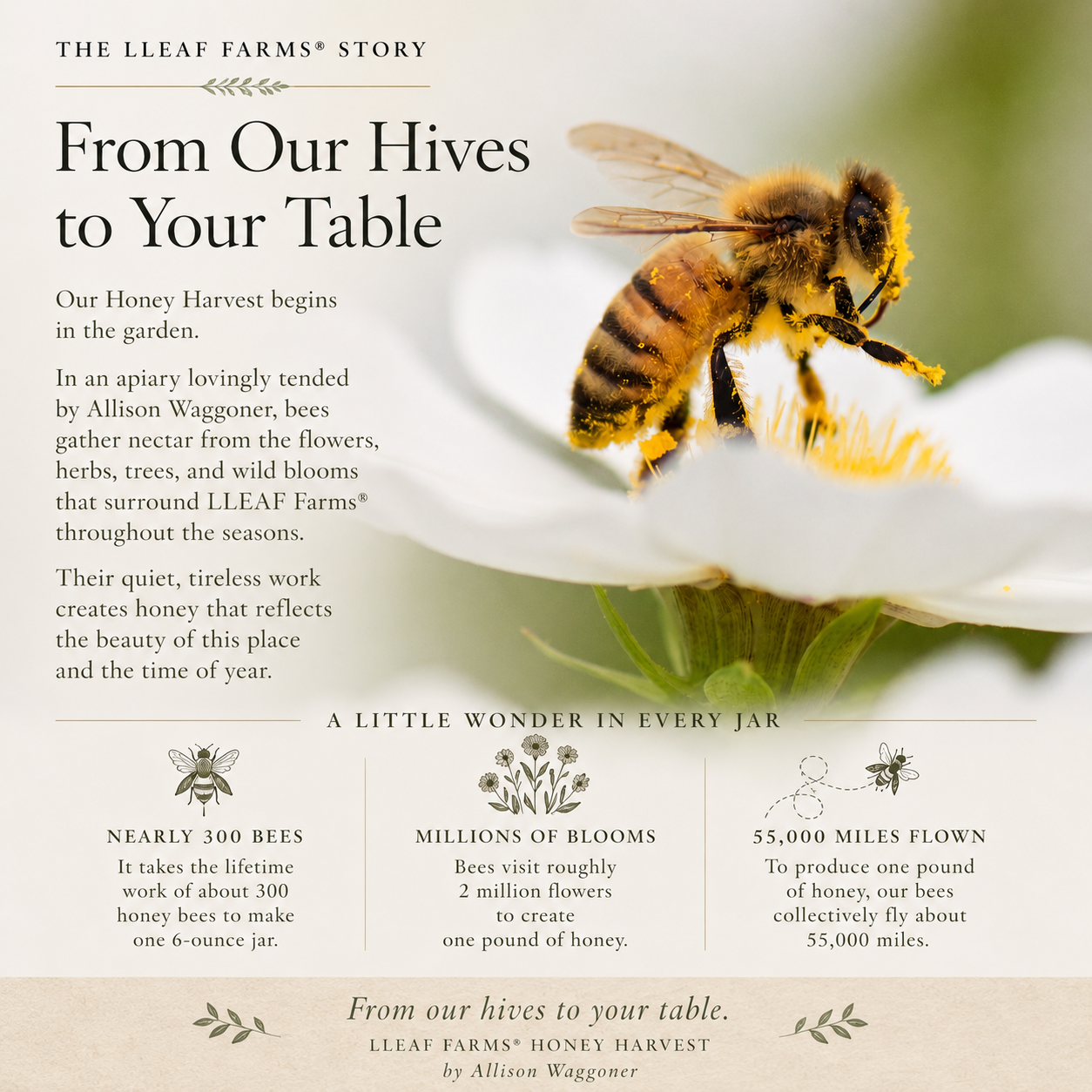 LLEAF® Farms - Honey Harvest No. 55