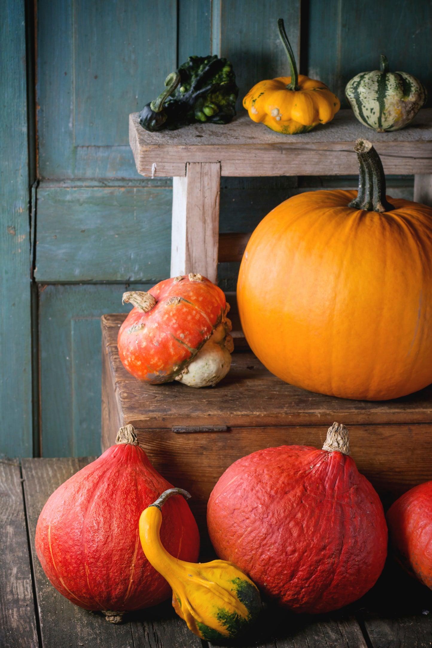 Thanksgiving: Giving Thanks at Home: In the Kitchen (booklet)